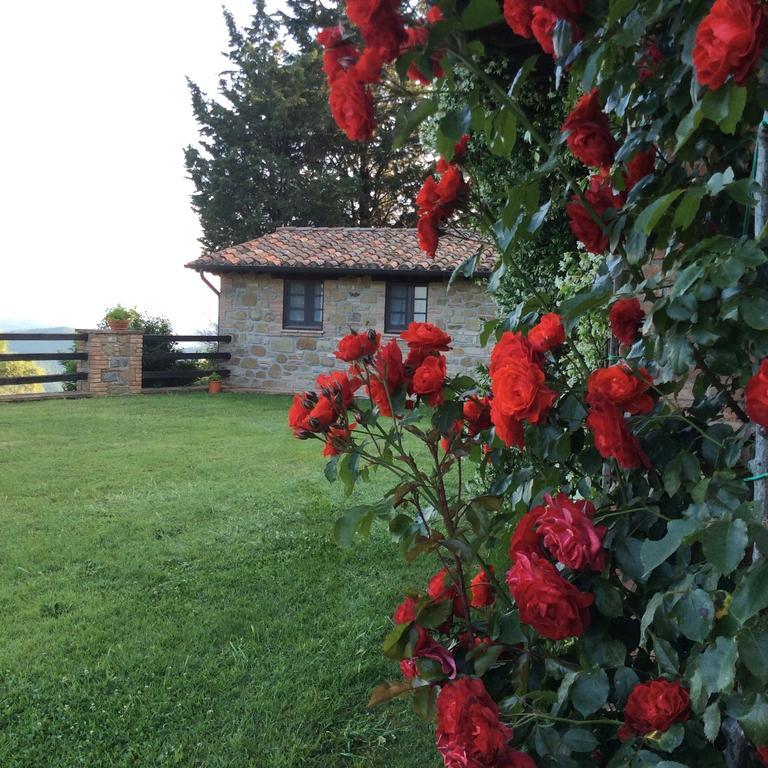 Agriturismo La Bicocca - Apt. "Il Leccio" Castel Rigone Номер фото
